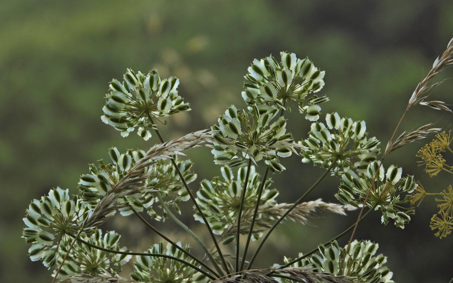 Die Farben von Madrid – Unterwegs